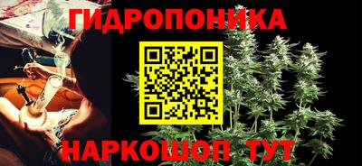 наркотики Камышлов