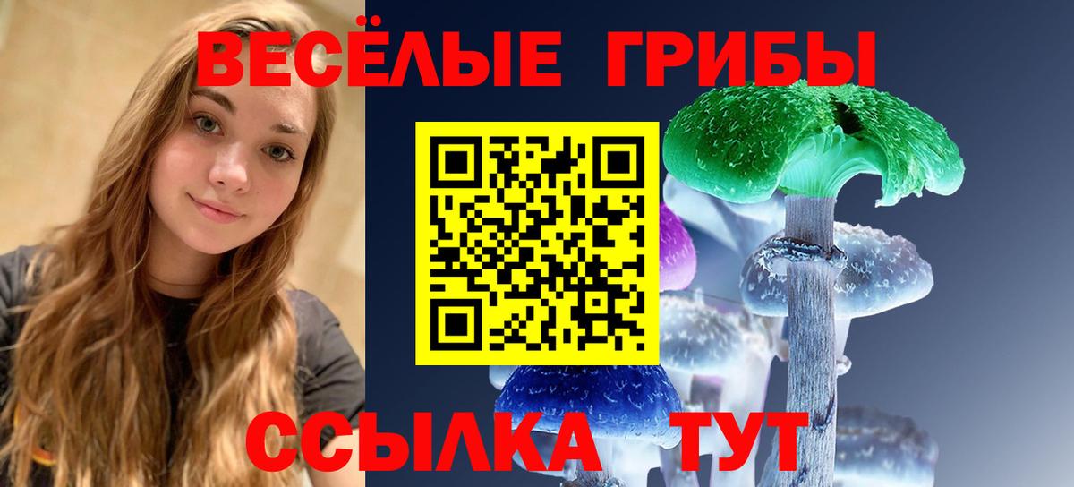 Галлюциногенные грибы Magic Shrooms  Вход с VPN  Галлюциногенные грибы Psilocybine cubensis  Буйнакск 